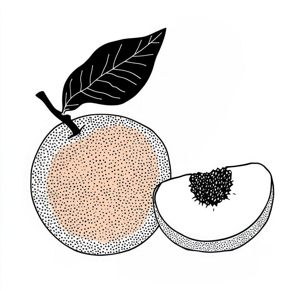 Peach illustration drawing fruit Free Photo Illustration rawpixel