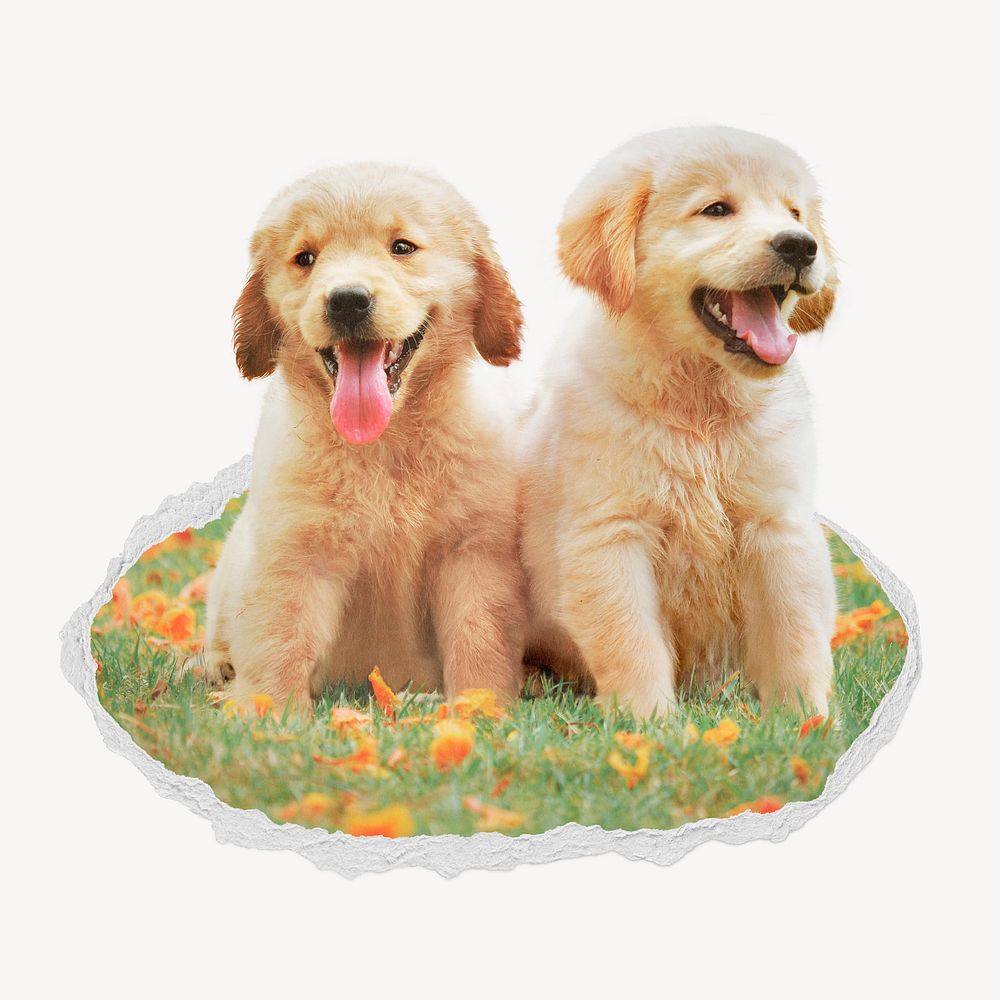 Golden Retriever puppies ripped paper badge, pet photo