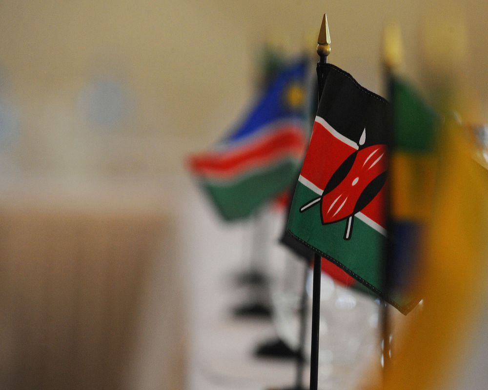 Sixteen African nations and United States representatives converse during the 2015 Gender Mainstreaming Seminar in Tanzania…