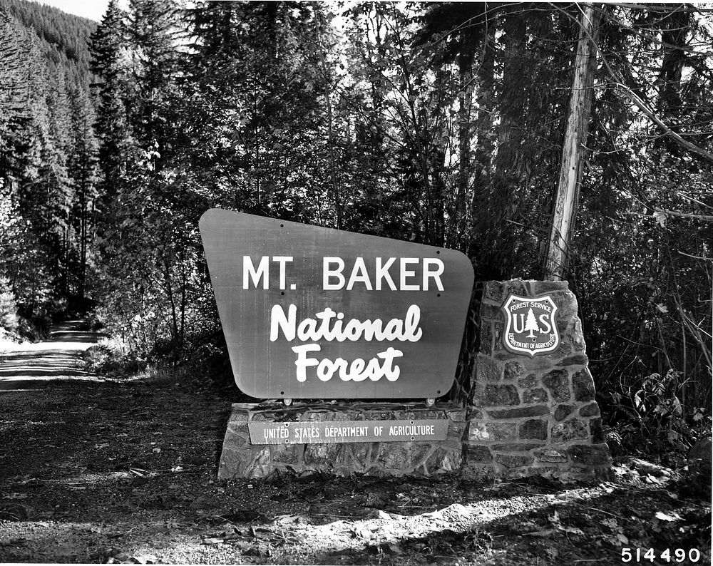 Mt. Baker NF Sign , Suiattle River Rd, WA 1964. Original public domain image from Flickr