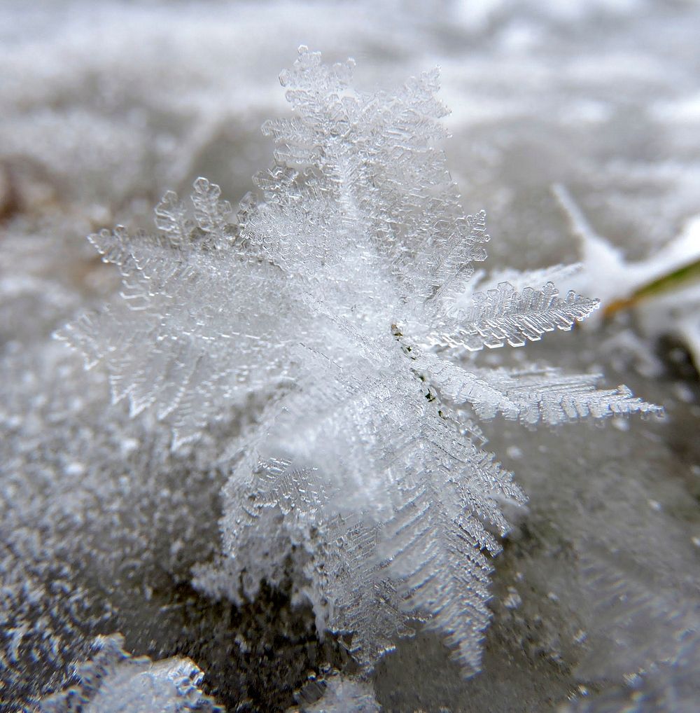 Winter stream. Original public domain image from Flickr