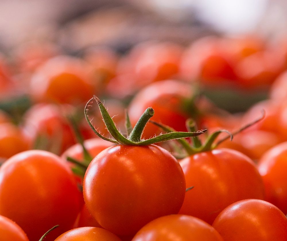 Organic cherry tomatoes from Tuscarora Organic Growers (TOG) was delivered to Each Peach Market in the Washington, D.C., on…