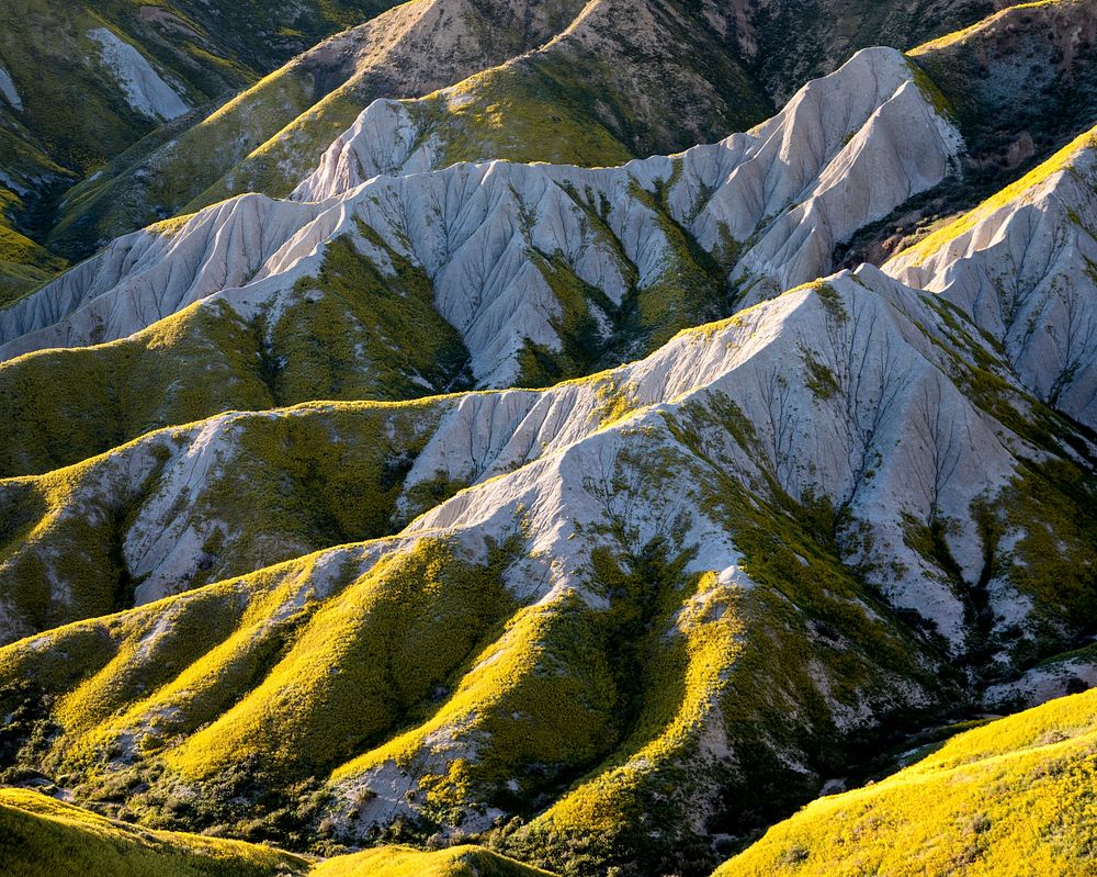 Carrizo Plain National Monument is one of the best kept secrets in California.