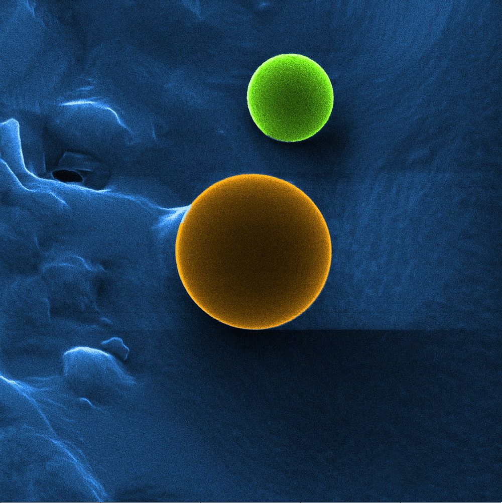 Shown is a colorized image, created using a helium ion microscope, shows a used photocathode electrode obtained from the…