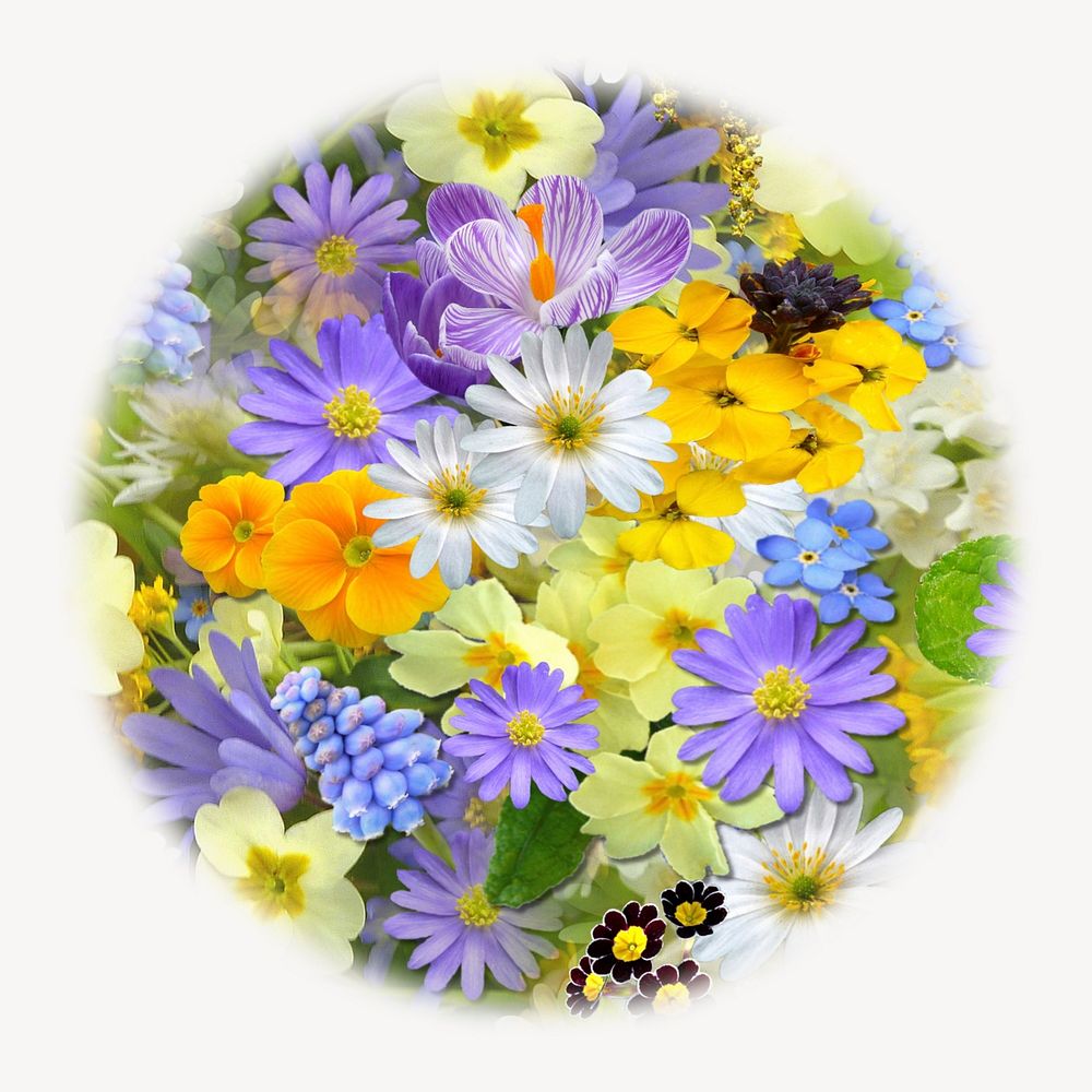 Colorful flowers soft edge circle badge, Spring photo