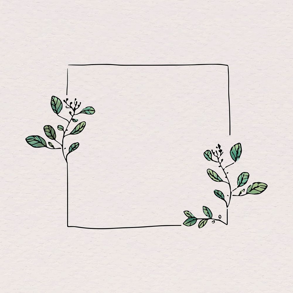 Botanical frame sticker, doodle illustration psd