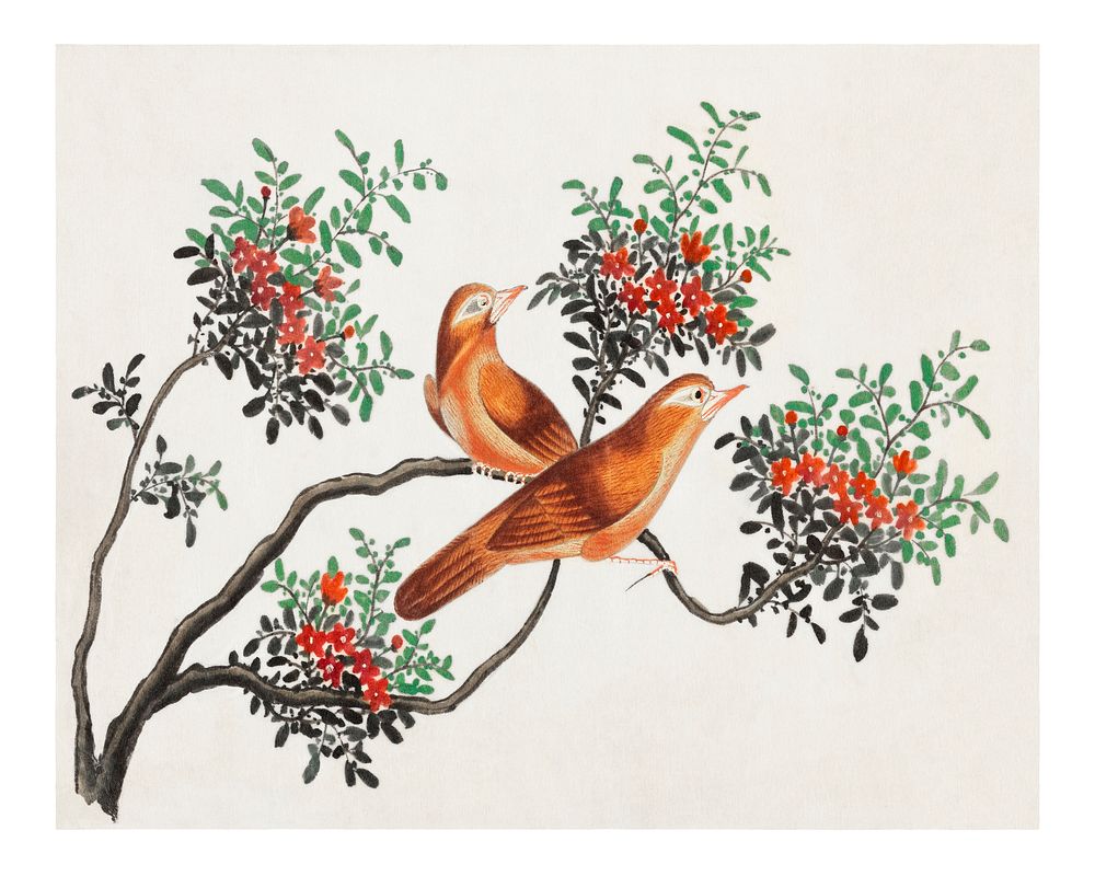 Birds of China poster (1800&ndash;1899) from the Miriam and Ira D. Wallach Division of Art, Prints and Photographs: Art &…