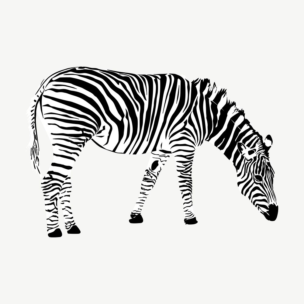Zebra clipart, vintage animal illustration vector. Free public domain CC0 image.