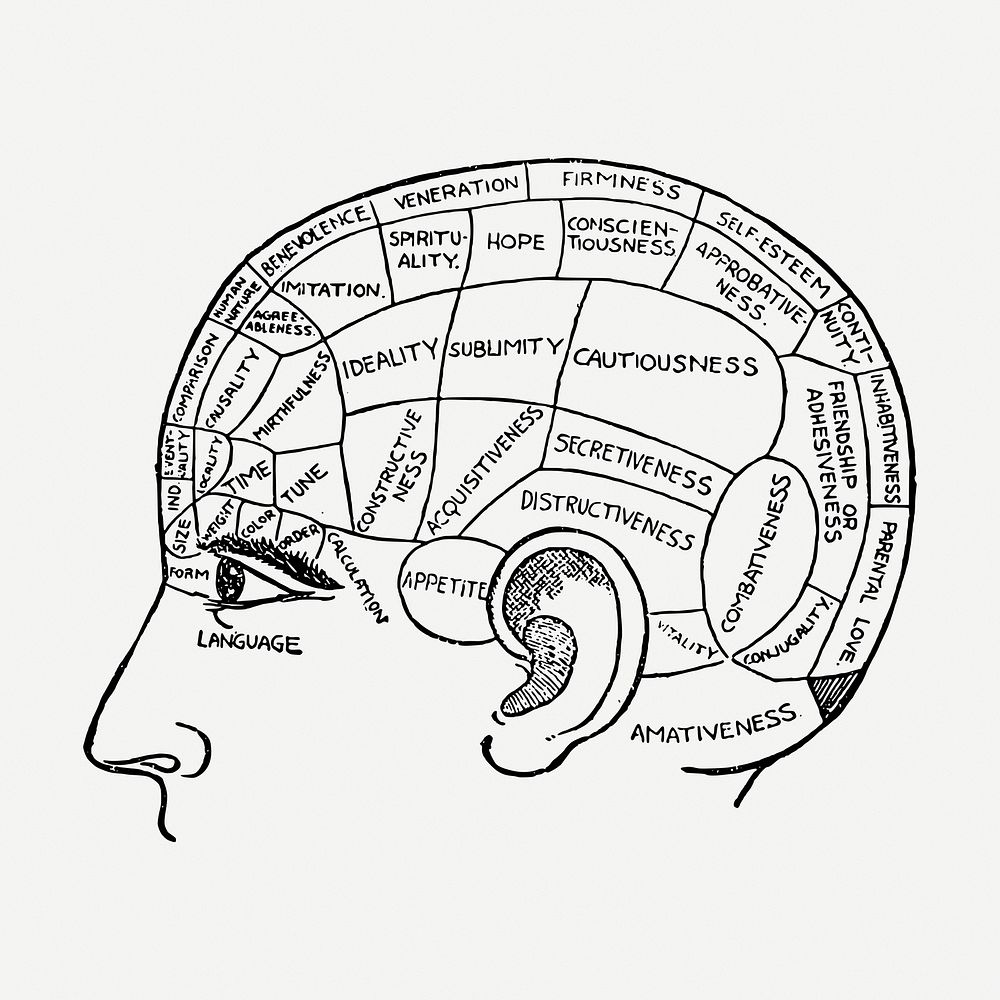 Phrenology chart drawing, vintage neurology illustration psd. Free public domain CC0 image.