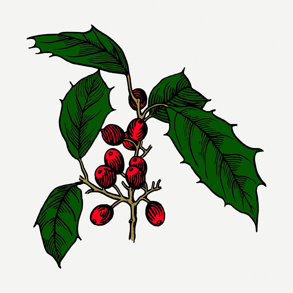 Christmas berry collage element, vintage decoration illustration psd. Free public domain CC0 image.