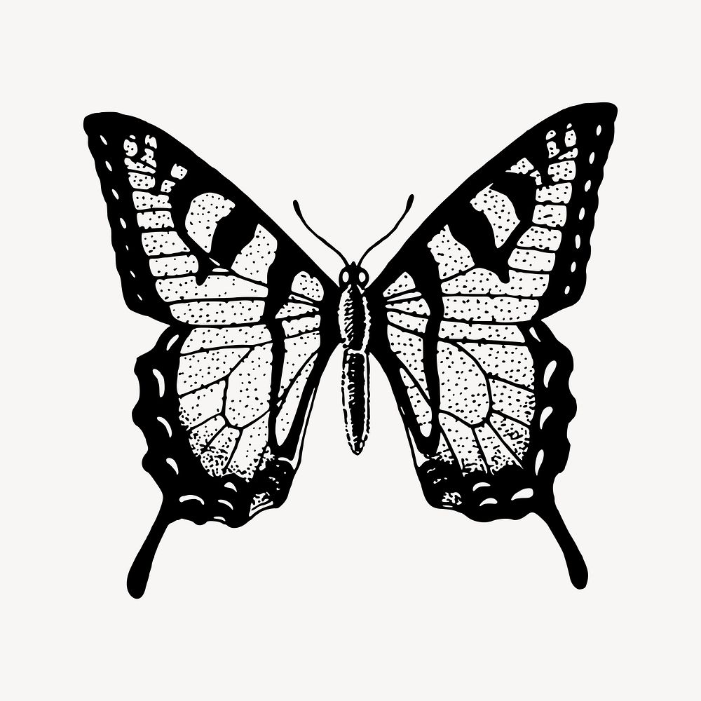 Butterfly clipart, vintage insect illustration vector. Free public domain CC0 image.