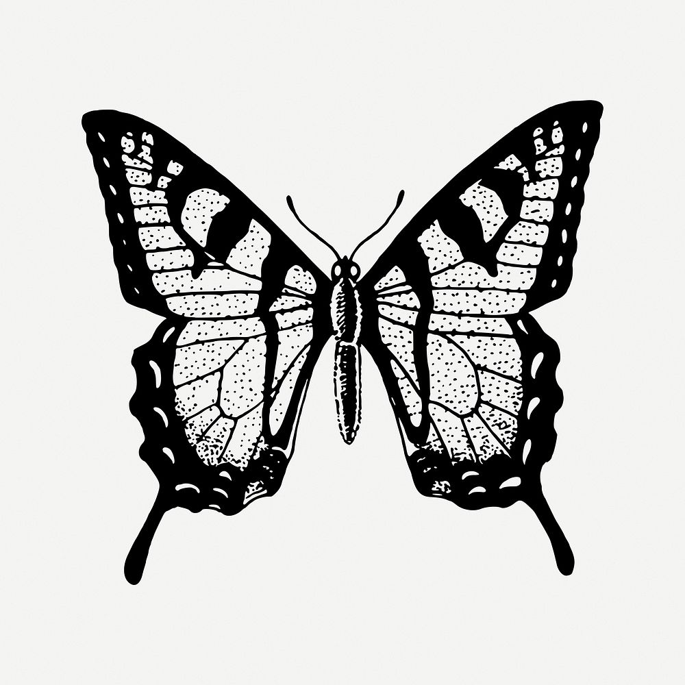 Butterfly drawing, vintage insect illustration psd. Free public domain CC0 image.