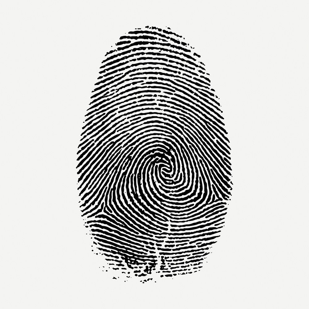 Fingerprint drawing, vintage whorl illustration psd. Free public domain CC0 image.