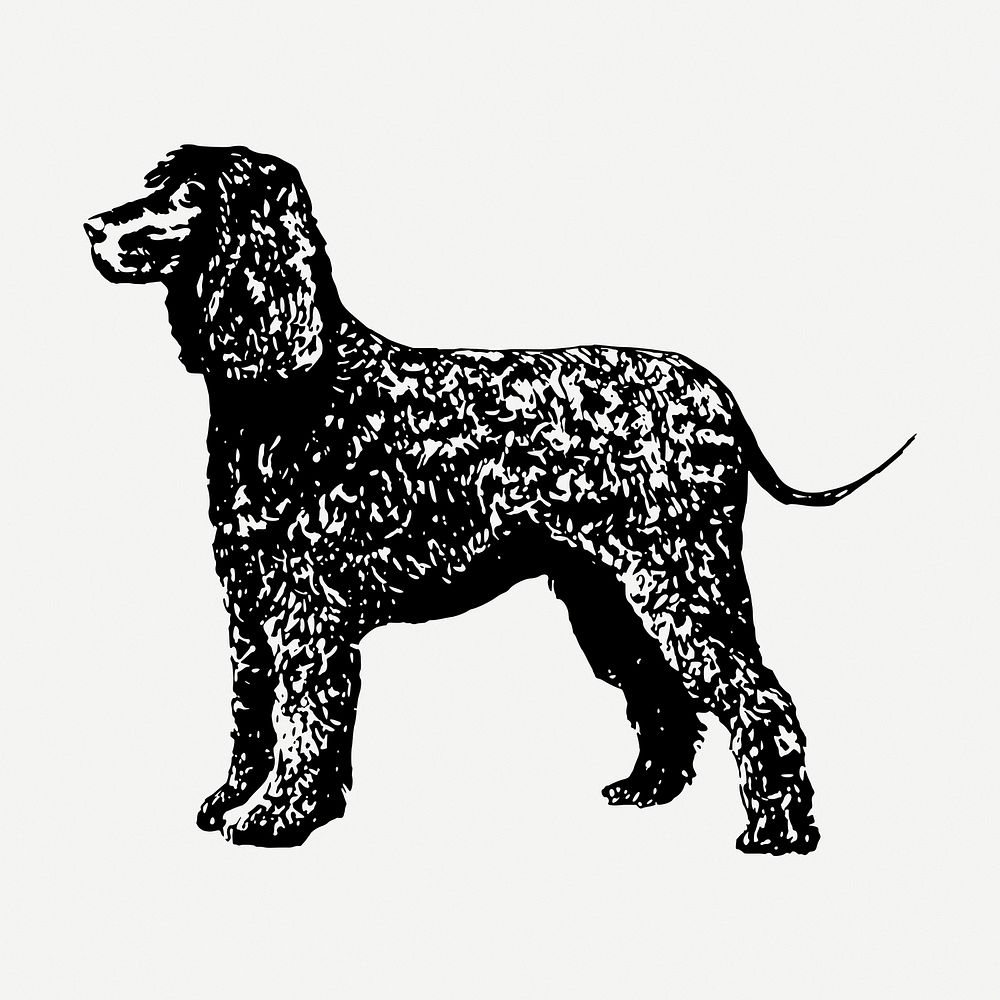 Spaniel dog drawing, vintage pet animal illustration psd. Free public domain CC0 image.