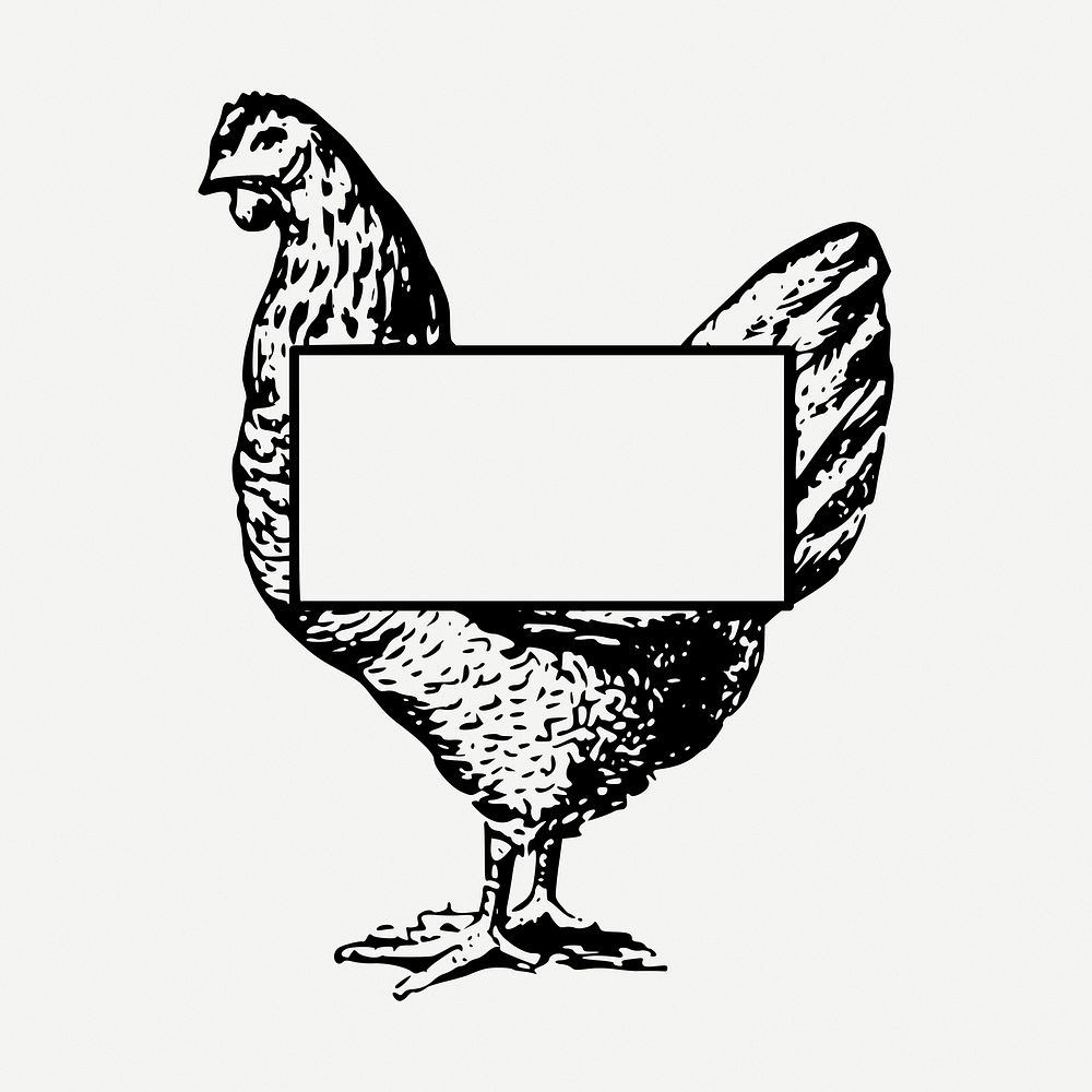 Chicken frame, vintage animal illustration psd. Free public domain CC0 image.