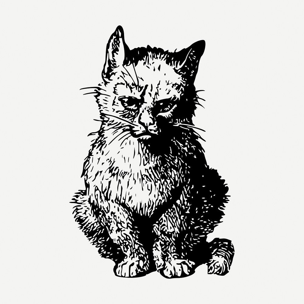 Sitting kitten drawing, vintage pet animal illustration psd. Free public domain CC0 image.