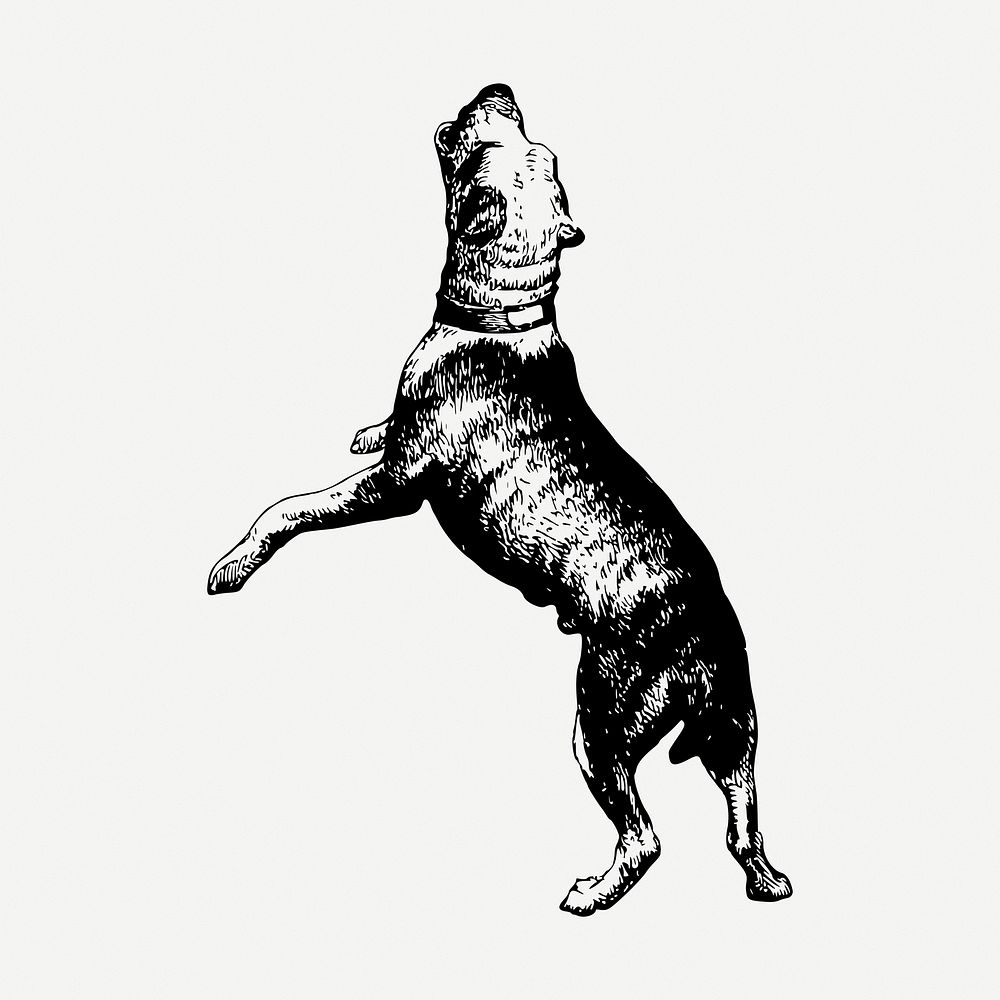 Barking dog drawing, vintage pet animal illustration psd. Free public domain CC0 image.