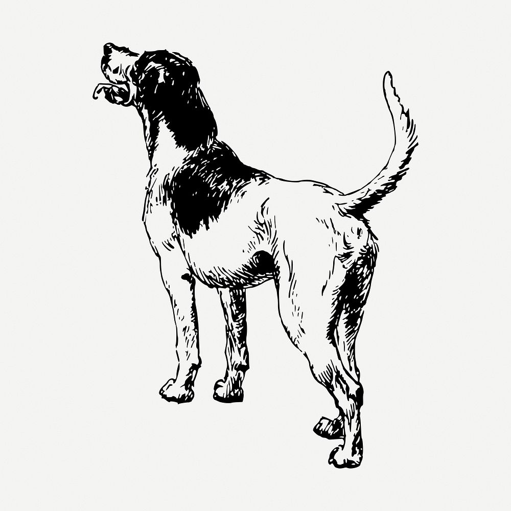 Playful dog drawing, vintage pet animal illustration psd. Free public domain CC0 image.