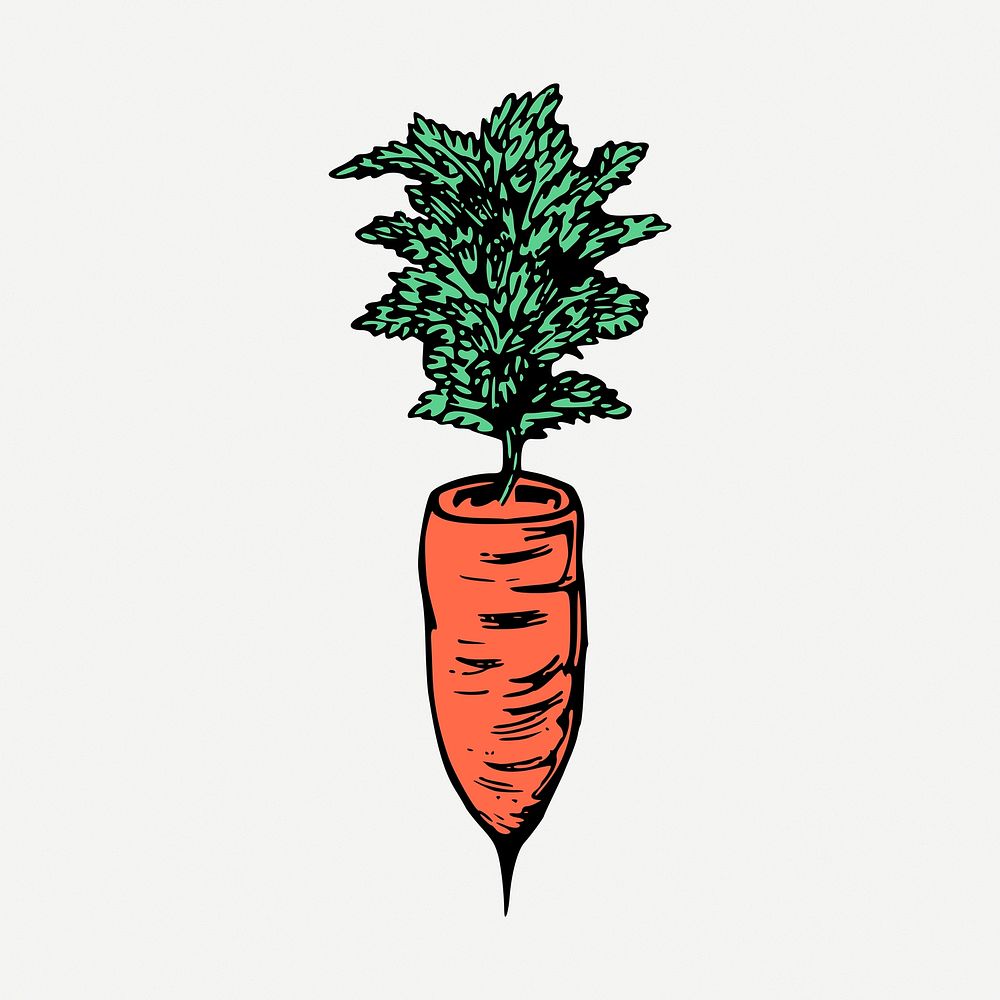 Carrot collage element, vintage vegetable illustration psd. Free public domain CC0 image.