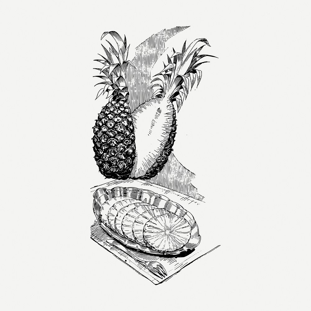 Pineapple drawing, vintage fruit illustration psd. Free public domain CC0 image.