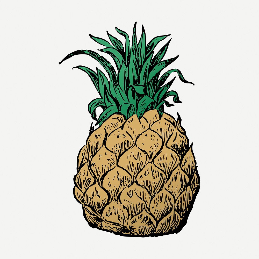 Pineapple collage element, vintage fruit illustration psd. Free public domain CC0 image.