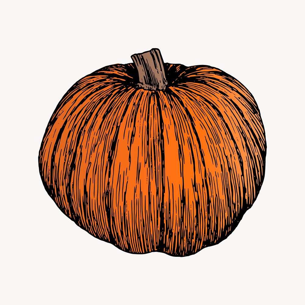 Pumpkin clipart, vintage plant illustration vector. Free public domain CC0 image.