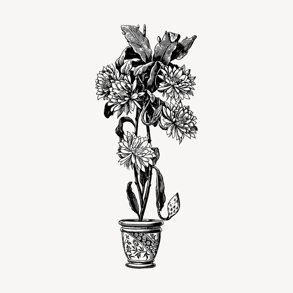 Epiphyllum flower pot drawing, vintage botanical illustration vector. Free public domain CC0 image.