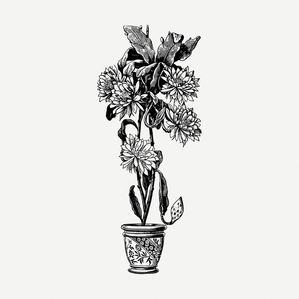 Epiphyllum flower pot drawing, vintage botanical illustration psd. Free public domain CC0 image.