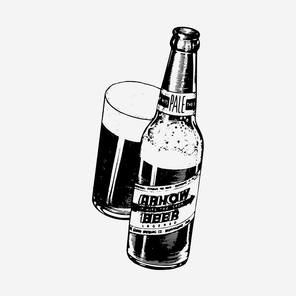 Pale ale drawing, vintage beverage illustration. Free public domain CC0 image.