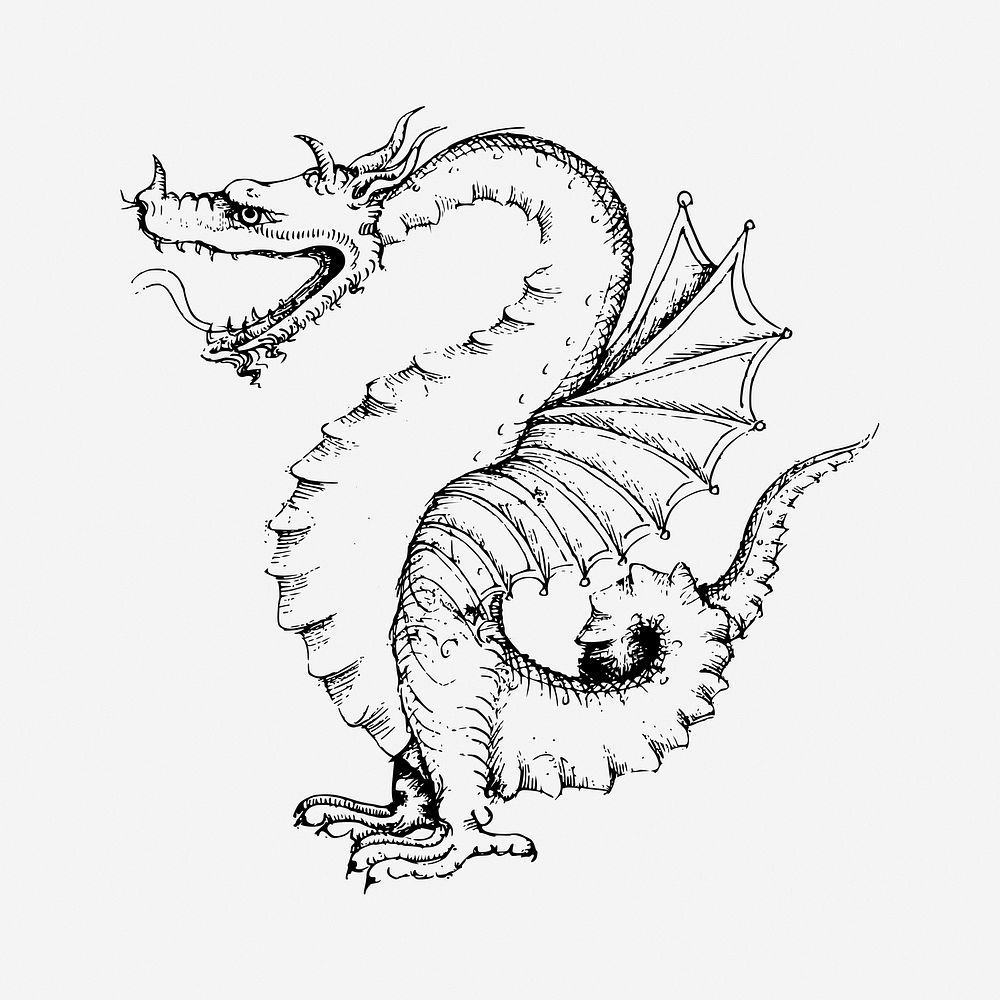 Dragon drawing, vintage mythical creature illustration. Free public domain CC0 image.