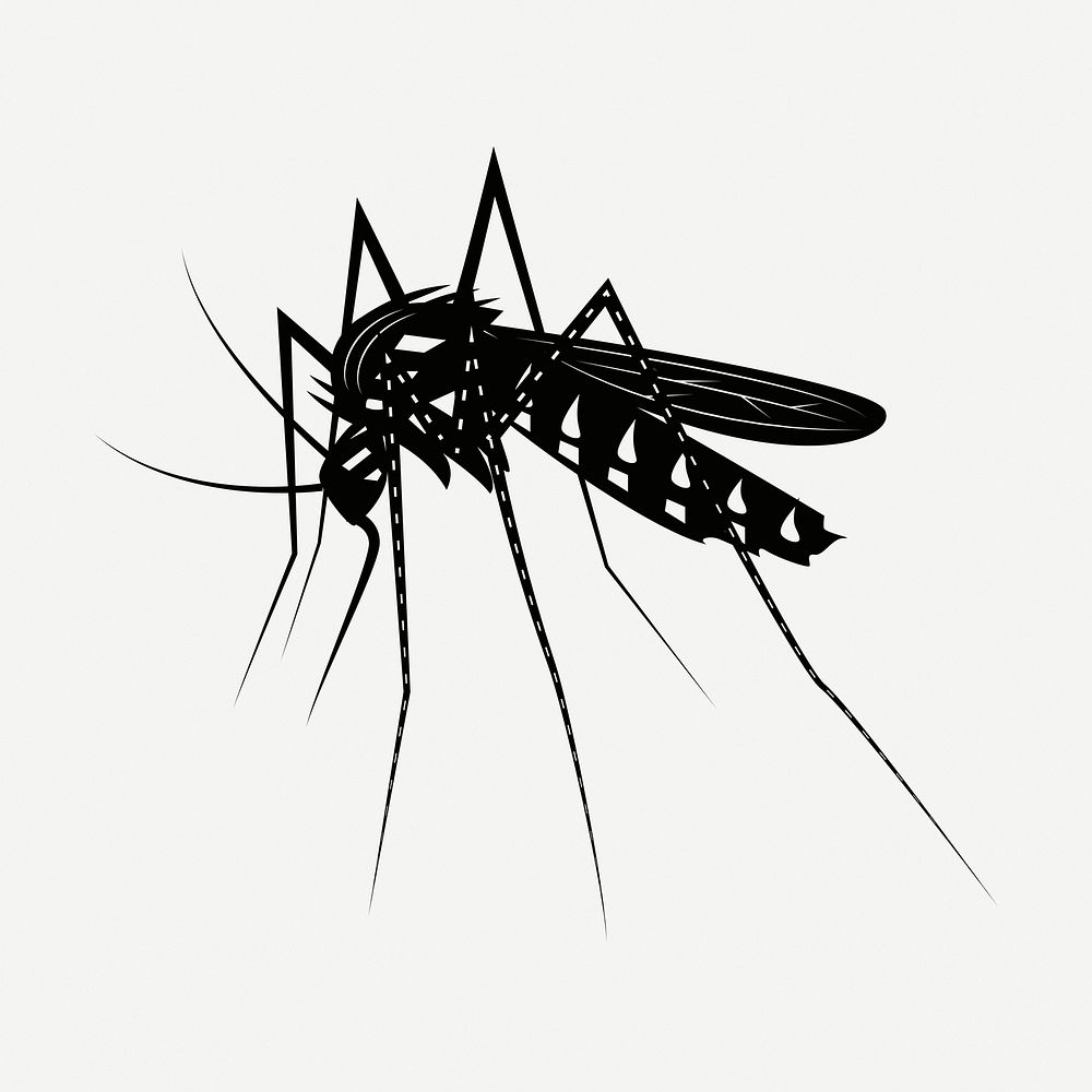 Mosquito drawing, vintage insect illustration psd. Free public domain CC0 image.