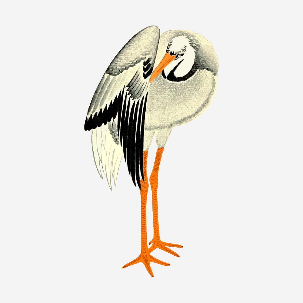 Stork bird clipart, vintage animal illustration. Free public domain CC0 image.