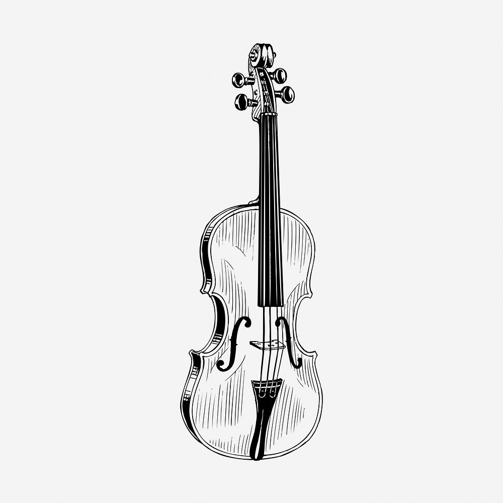 Violin drawing, vintage musical instrument illustration. Free public domain CC0 image.