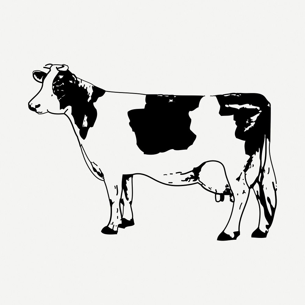 Cow, bull drawing, farm animal vintage illustration psd. Free public domain CC0 image.