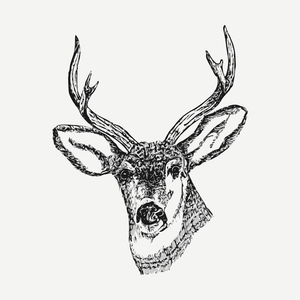 Stag drawing, animal vintage illustration | Free PSD - rawpixel