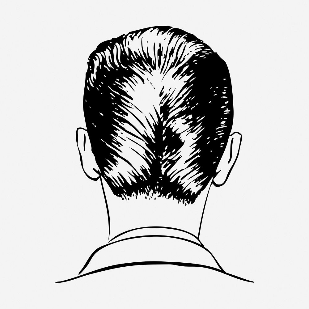 Ducktail men's haircut drawing, hairstyle vintage illustration. Free public domain CC0 image.