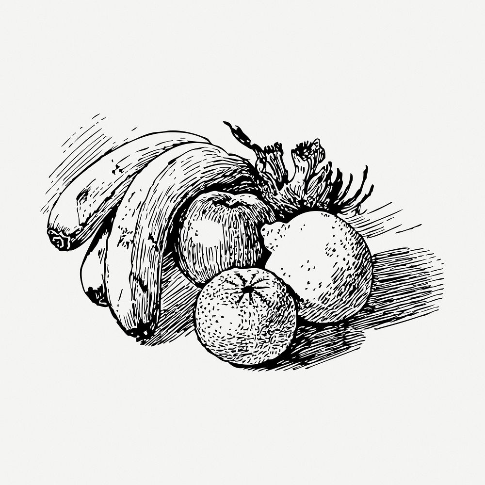 Fruits drawing, still life vintage illustration psd. Free public domain CC0 image.