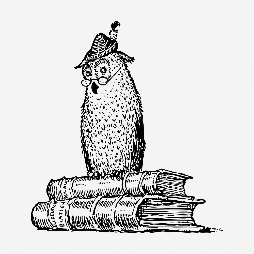 Owl books drawing, Athena symbol vintage illustration. Free public domain CC0 image.