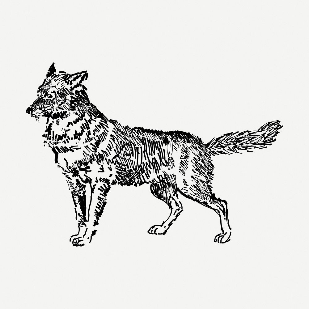 Jackal drawing, animal vintage illustration psd. Free public domain CC0 image.
