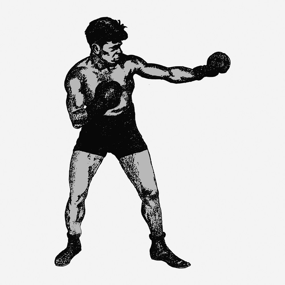 Male boxer drawing, sport vintage illustration. Free public domain CC0 image.