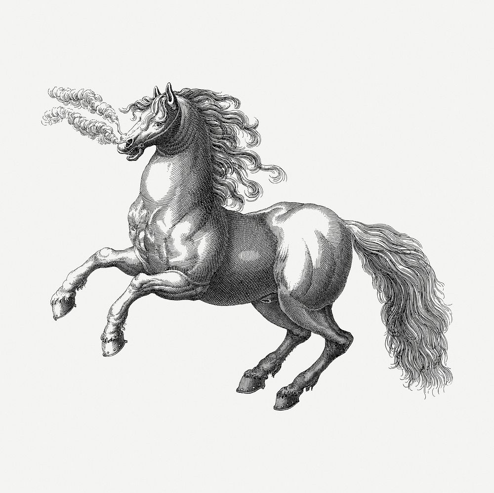 Rearing horse drawing, animal vintage illustration psd. Free public domain CC0 image.