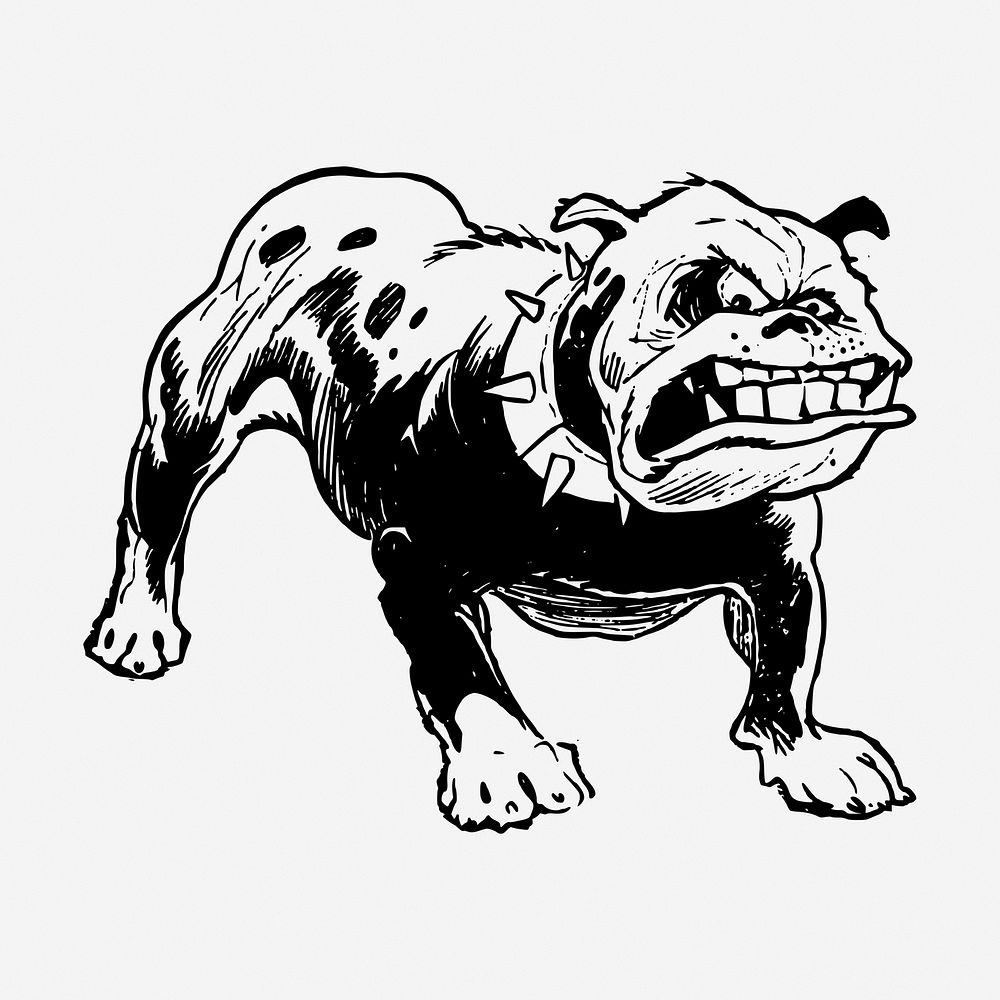 Angry bulldog drawing, animal vintage illustration. Free public domain CC0 image.