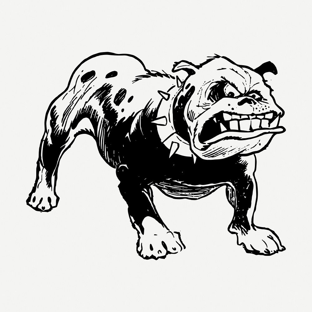 Angry bulldog drawing, animal vintage illustration psd. Free public domain CC0 image.