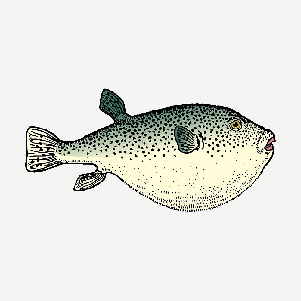 Blowfish sticker, sea life vintage illustration psd. Free public domain CC0 image.