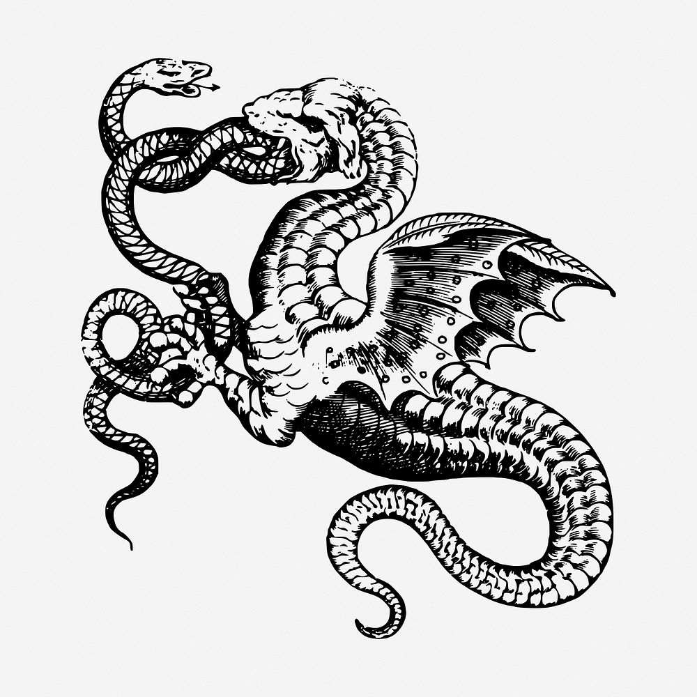 Snake dragon drawing, mythical creature vintage illustration. Free public domain CC0 image.