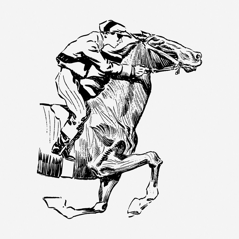 Horse rider clipart, vintage illustration vector. Free public domain CC0 image.