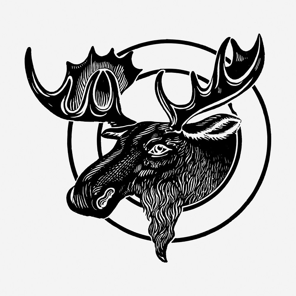 Moose head drawing, animal vintage illustration. Free public domain CC0 image.