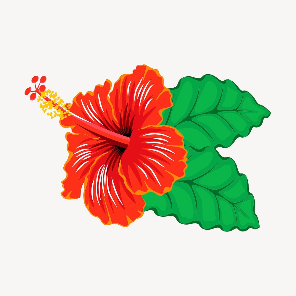 Red hibiscus, flower illustration. Free public domain CC0 image.