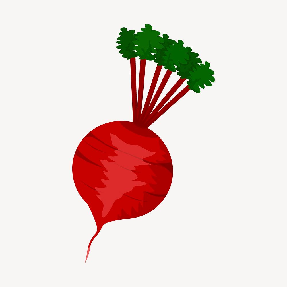 Beetroot clipart, vegetable illustration psd. Free public domain CC0 image.