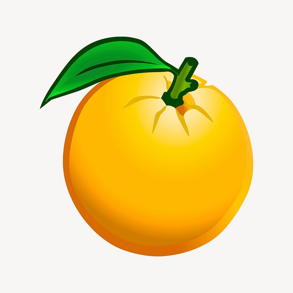 Organic orange, fruit illustration. Free public domain CC0 image.